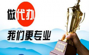个人工商注册登记查询
